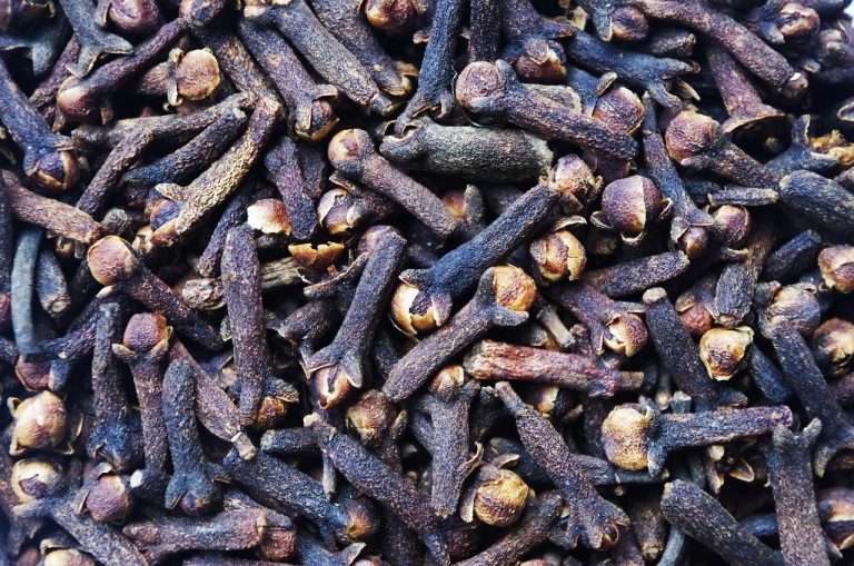 Cloves and Wellness: Unveiling the Health Benefits