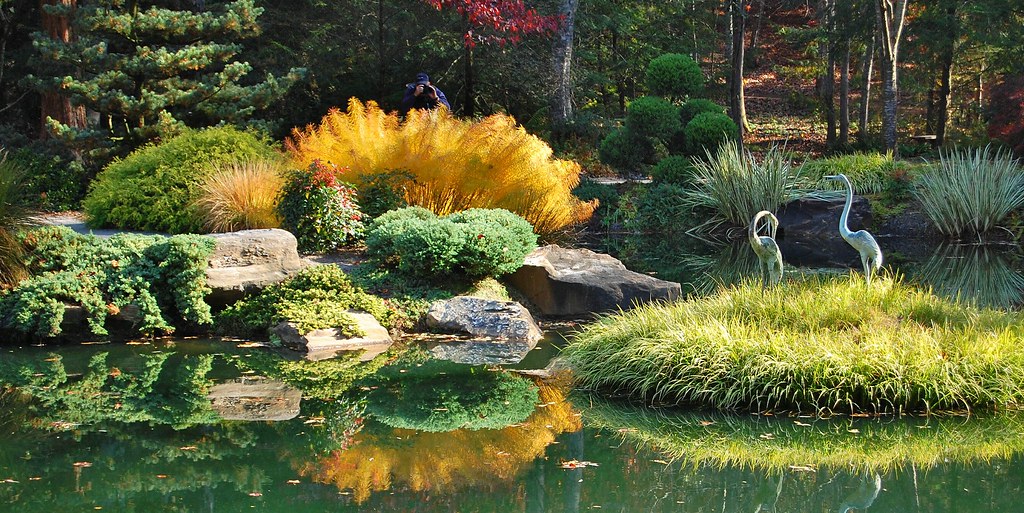 The Splendor of Japanese Gardens: Exploring Tranquil ‍Oasis ⁢and Horticultural Masterpieces