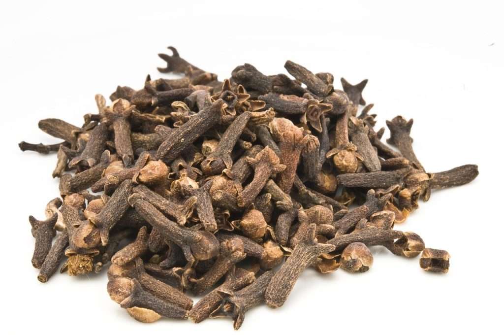 Cloves and Wellness: Unveiling the Health Benefits