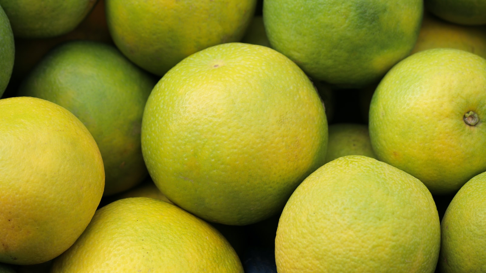 Grapefruit’s Zesty Health Benefits: A Citrus Revelation