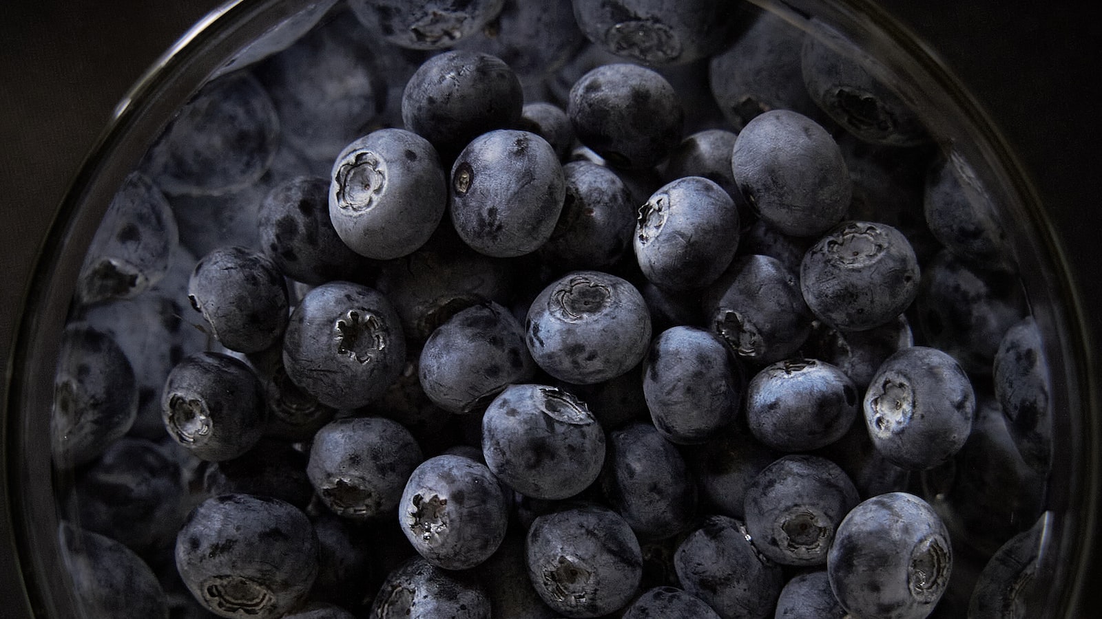 Blueberry Bonanza: Exploring the Health Benefits of Blueberries