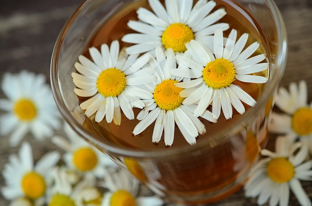 Chamomile Tea Serenity: The Health Benefits Unveiled