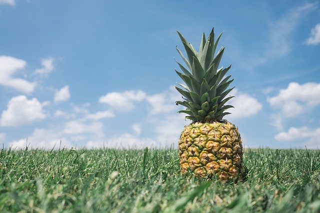 Pineapple Pleasures: Exploring the Benefits of Pineapple