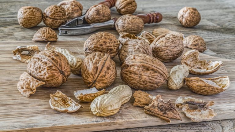 Walnut Wonders: Exploring the Health Benefits