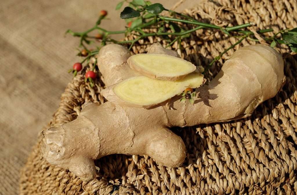 Exploring the Benefits of Ginger