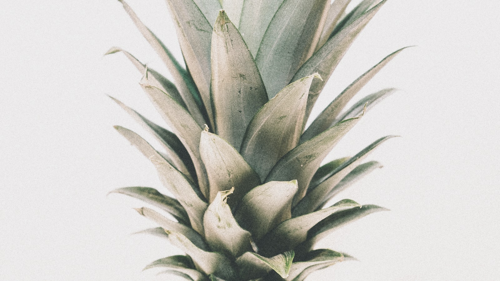 Pineapple’s Sensual Side: Health Benefits Explored