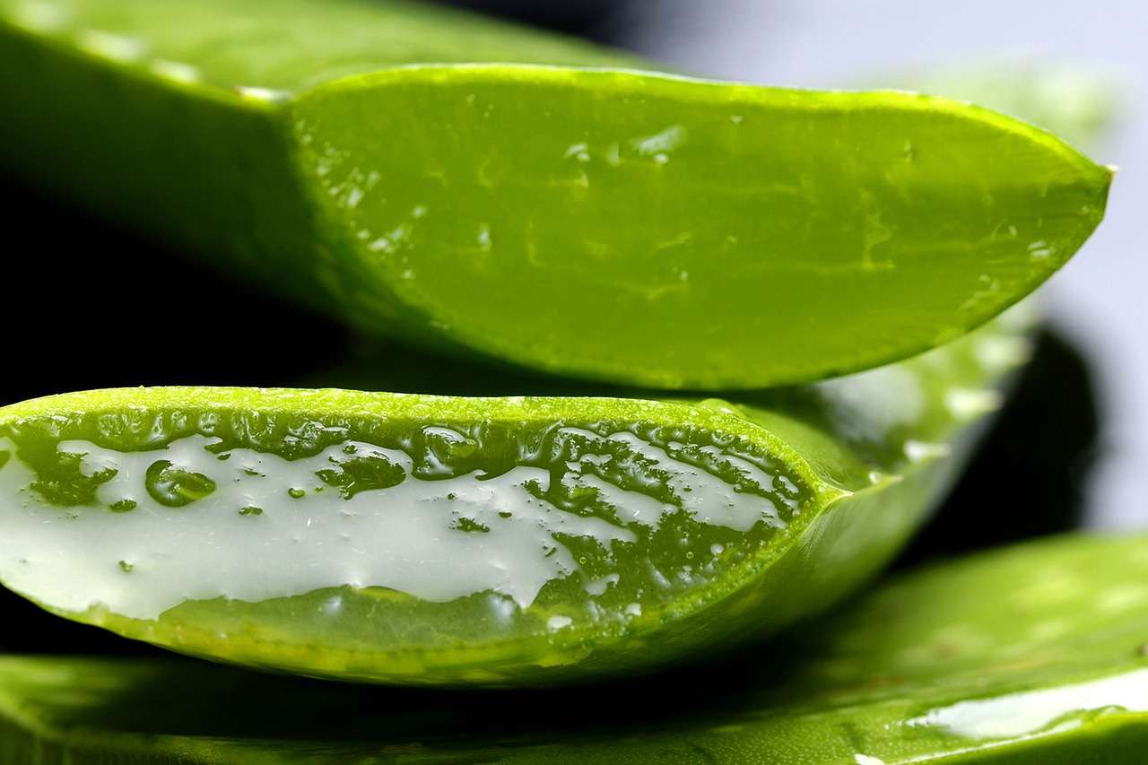 Aloe Vera Juice Miracles: Unveiling the Benefits