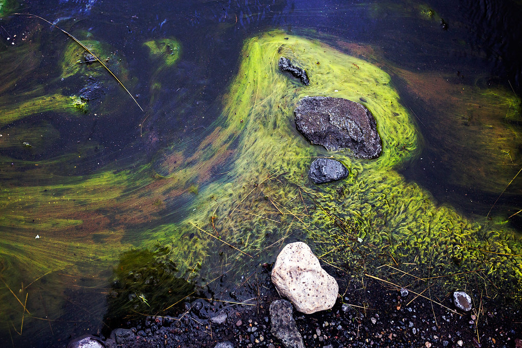 The Mystical Land of Japan: ⁣Unveiling Ancient Charms