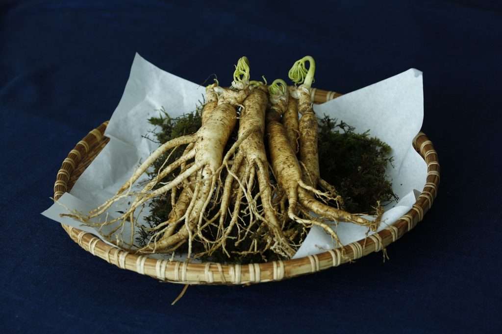 Ginseng's Herbal Benefits