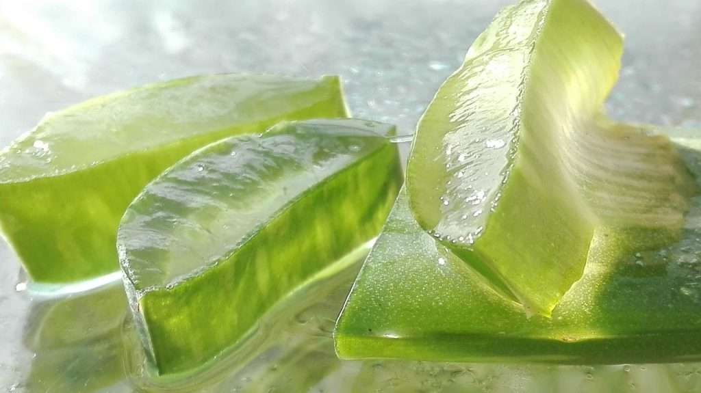 Aloe Vera Juice Miracles: Unveiling the Benefits