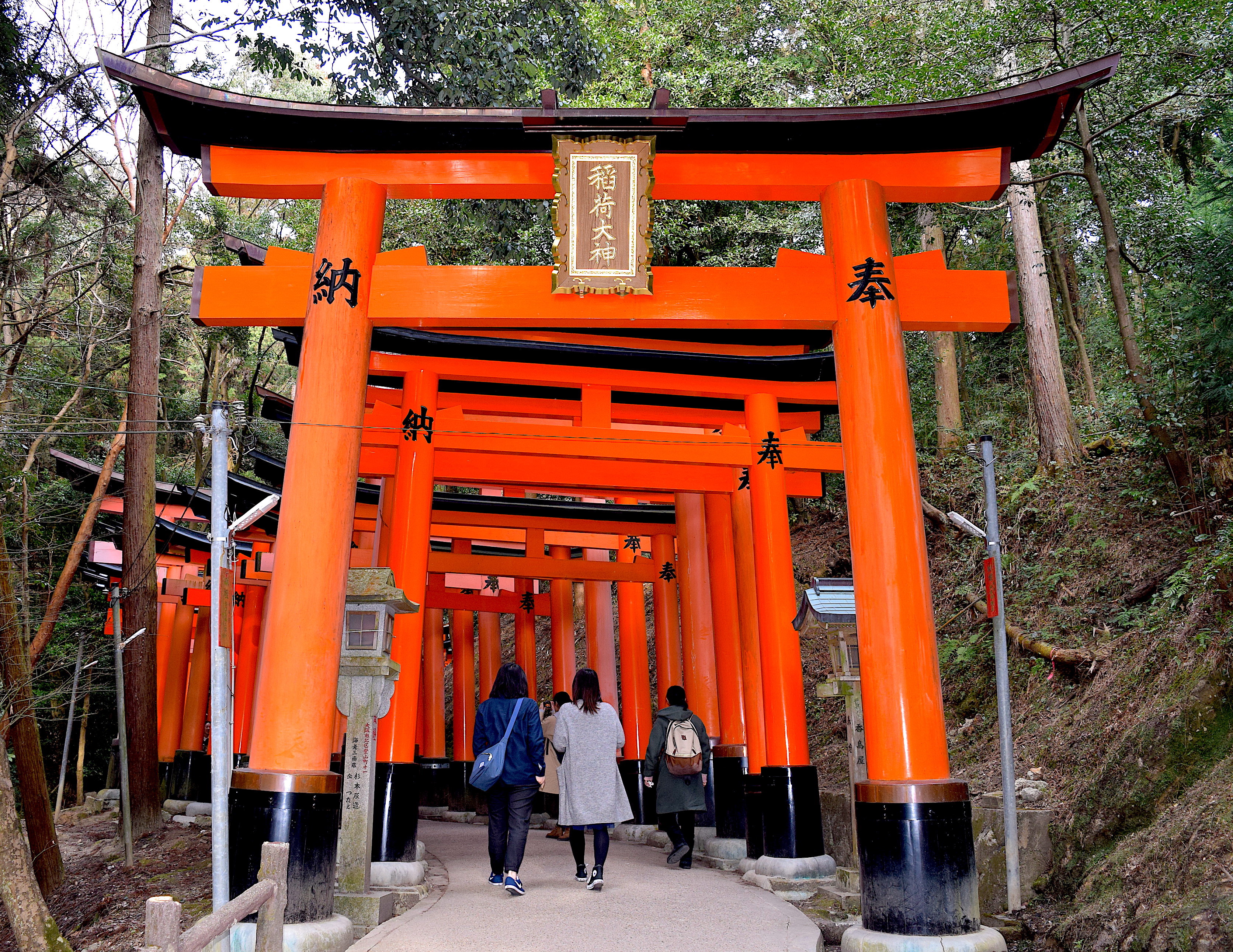 - Unearthing the Mystique:‍ The Charm of Japan's Lesser-Known Destinations