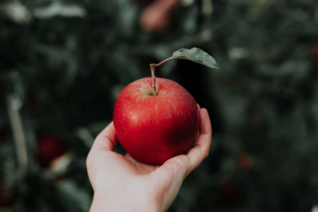 Apple Abundance: Exploring the Health Benefits