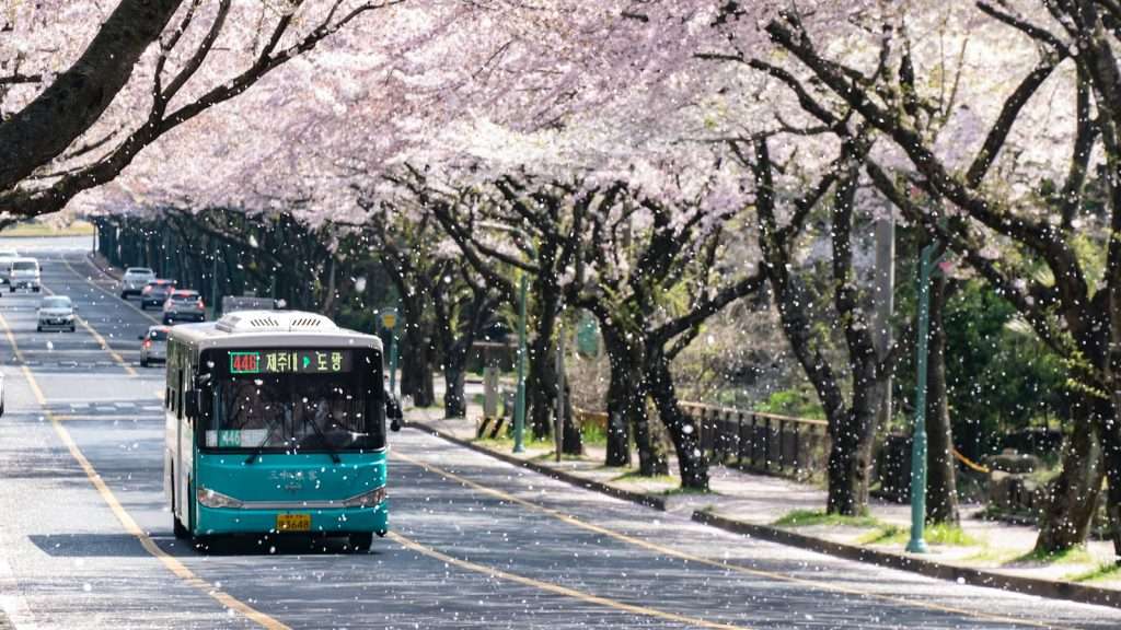 Jeju Island