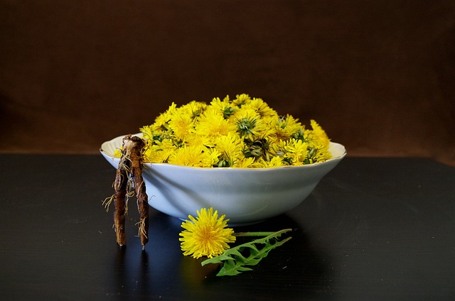 The Power of Dandelion Root: Unveiling its Health Wonders