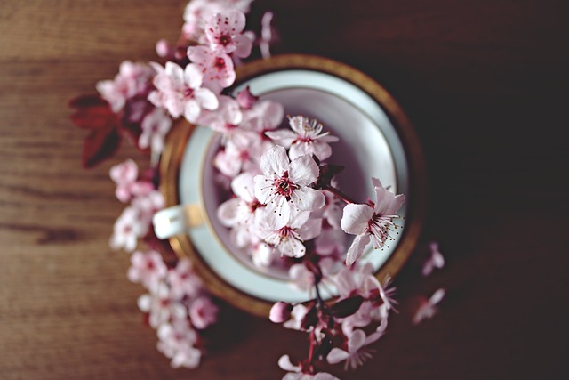 A Feast for the ‌Senses: Immerse Yourself in the ⁢Beauty of ‌Cherry Blossom Season