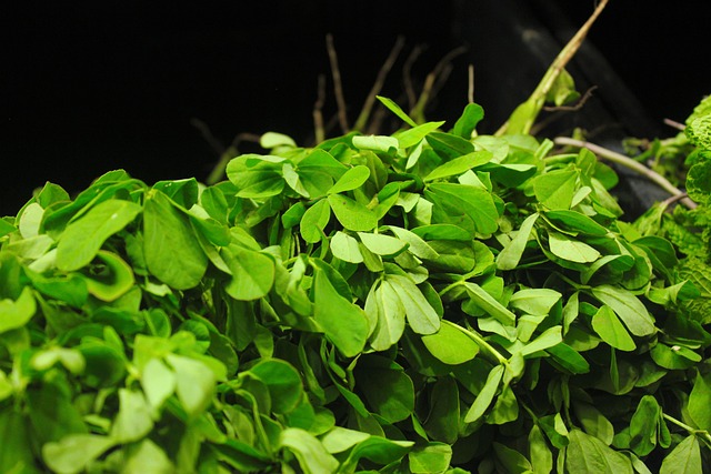 The Many Faces of Fenugreek: An Introduction