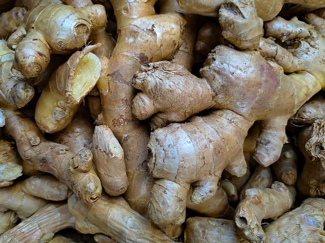 The Ginger Root: Ancient Healing Treasure Unleashed