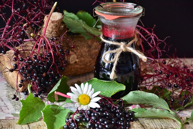 The Power of Elderberry: Unlocking Its Health Benefits