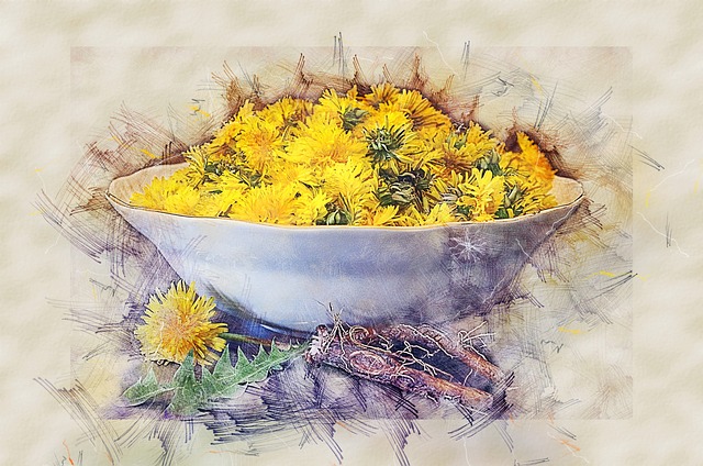 Harnessing Nature's Treasure: Exploring Dandelion Root's Nutritional Profile