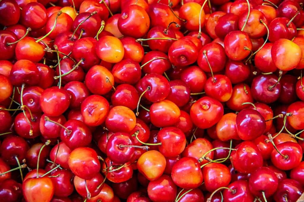 Cherry Charms: The Health Benefits of Cherries