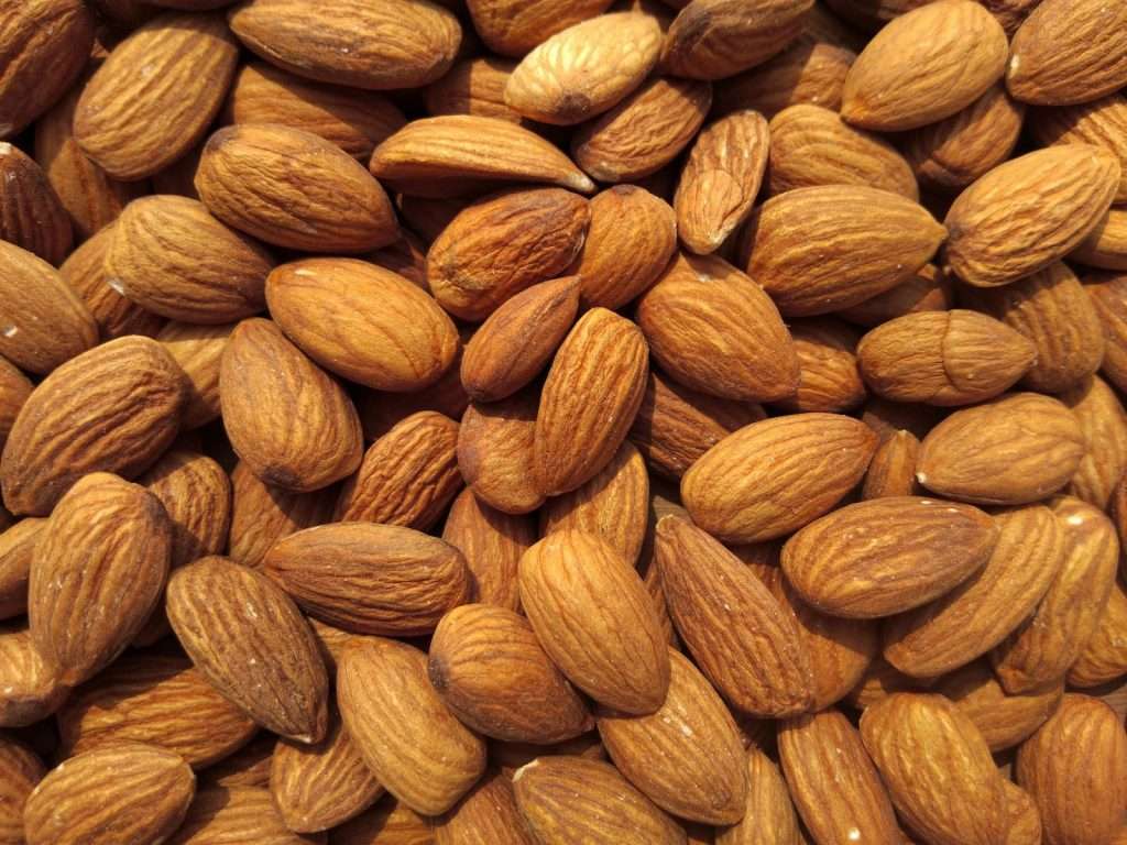 Almond Adventures: Exploring the Health Benefits