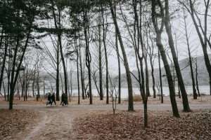 Nami Island K-Drama Destinations