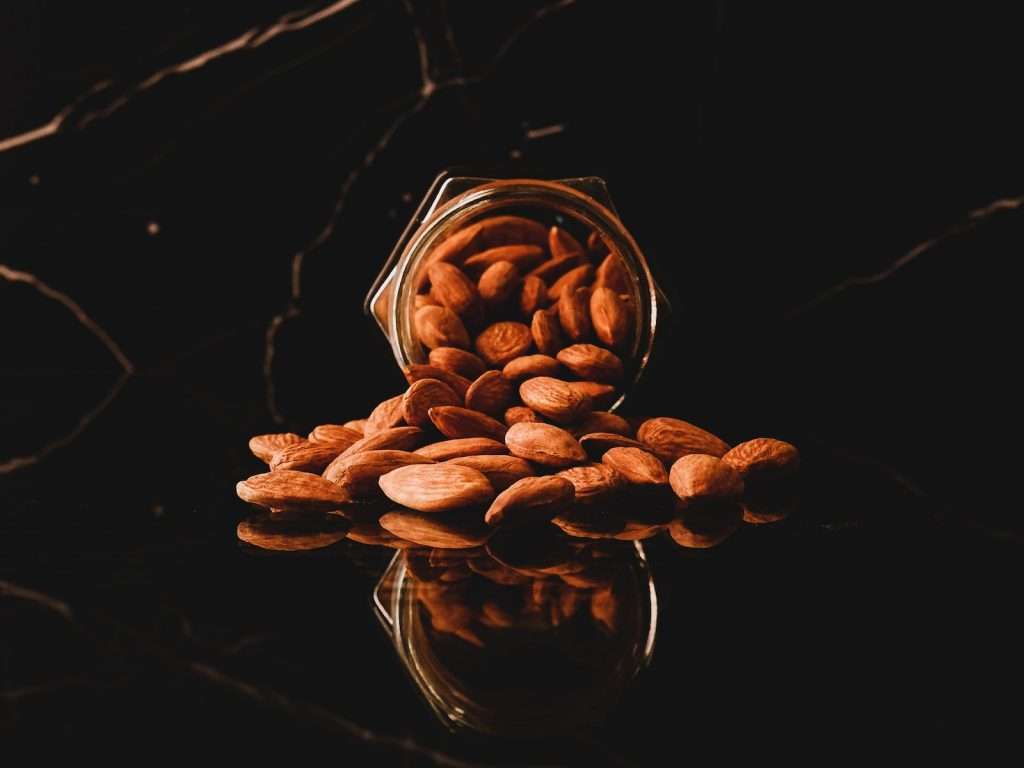 Almond Adventures: Exploring the Health Benefits