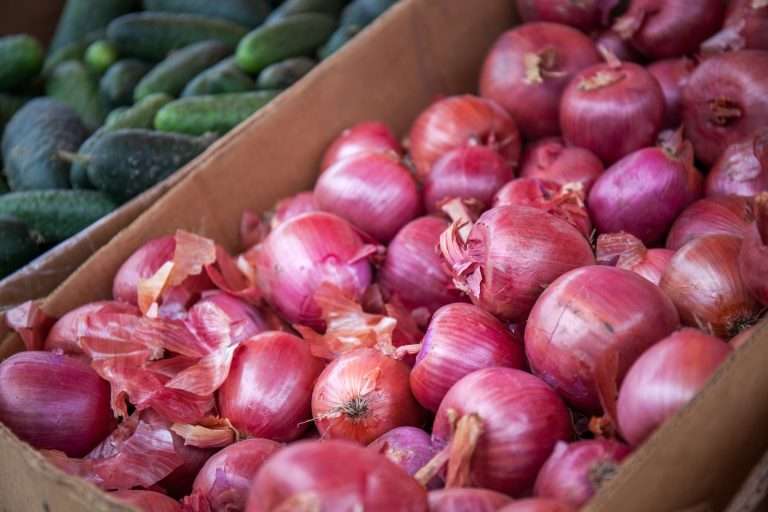 Onions and Wellness: Unveiling the Health Benefits