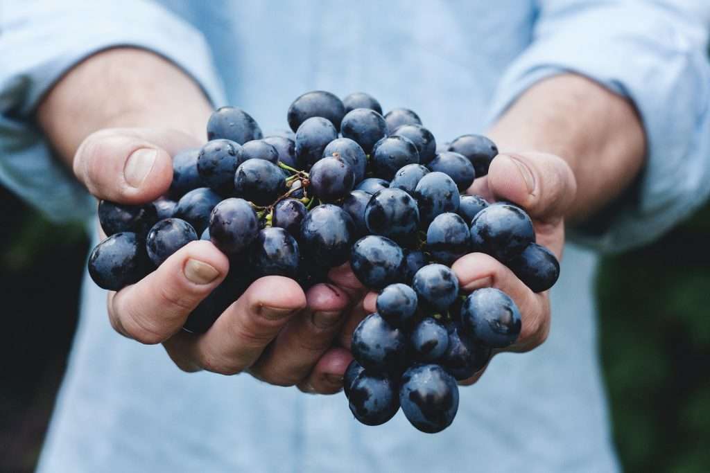 Grapes of Health