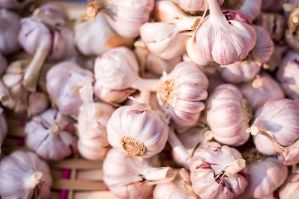 Garlic's Health Arsenal