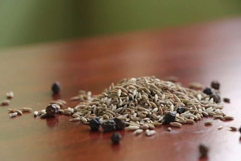 Flax Seeds' Nutritional Marvels