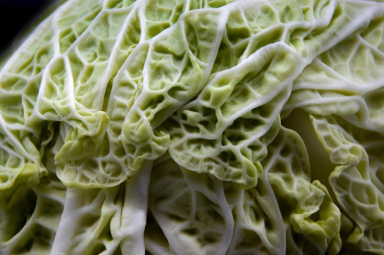 Cabbage and Portion Control: A Weight Loss Tactic