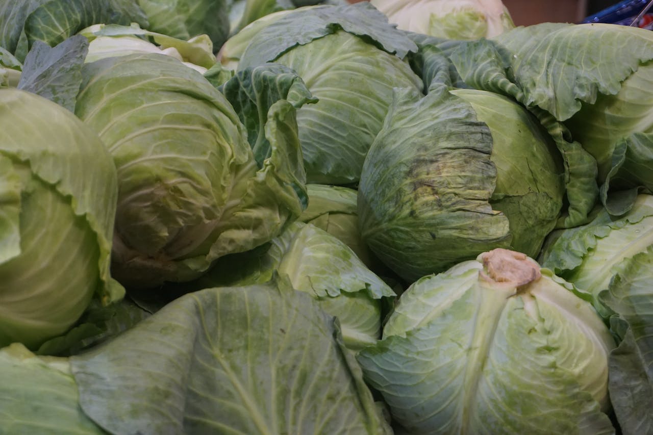 Cabbage and Omega-3s: A Dynamic Duo for Weight Loss