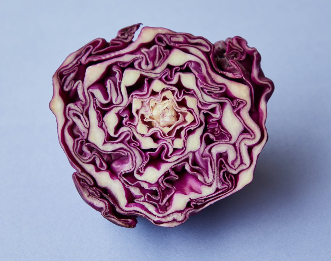 Cabbage and Antioxidants: The Secret to Weight Loss Beauty