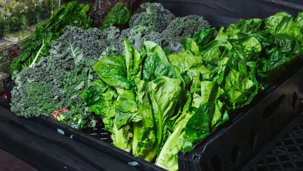 The Broccoli Cleanse: Kickstart Your Weight Loss Journey