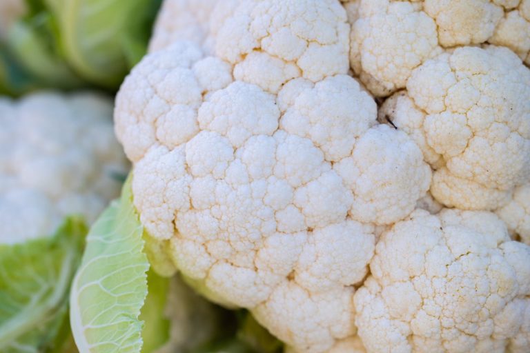 Cauliflower Chronicles: Your Journey to Weight Loss Glory