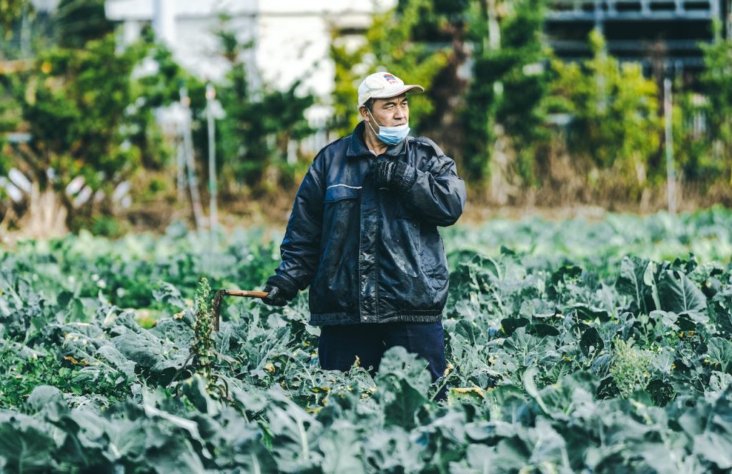 Slim Down with Green Power: Broccoli for Weight Loss