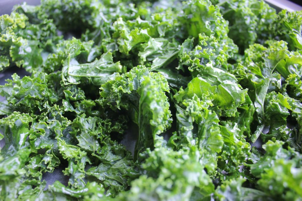 Broccoli and Fiber: Satiety and Weight Loss