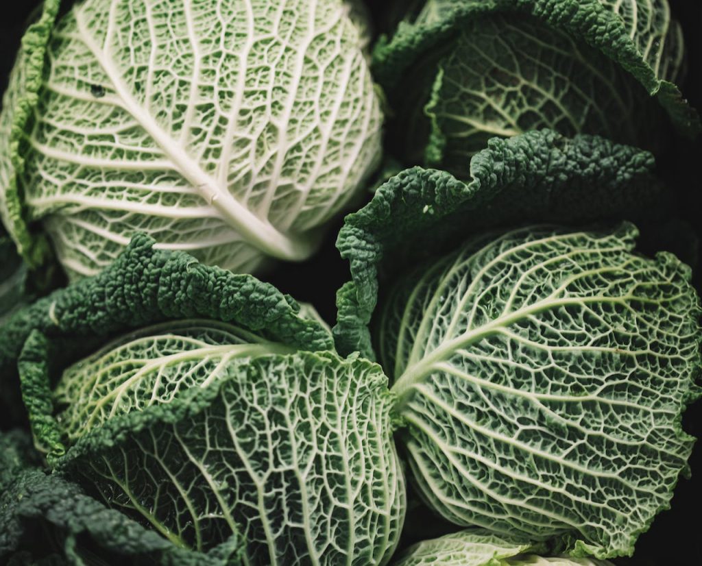 The Cabbage Challenge: 30 Days to a Leaner You