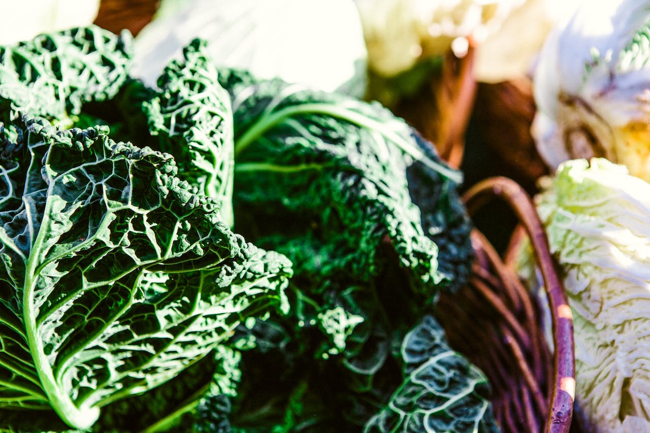 Cabbage and High-Protein Diets: A Weight Loss Boost