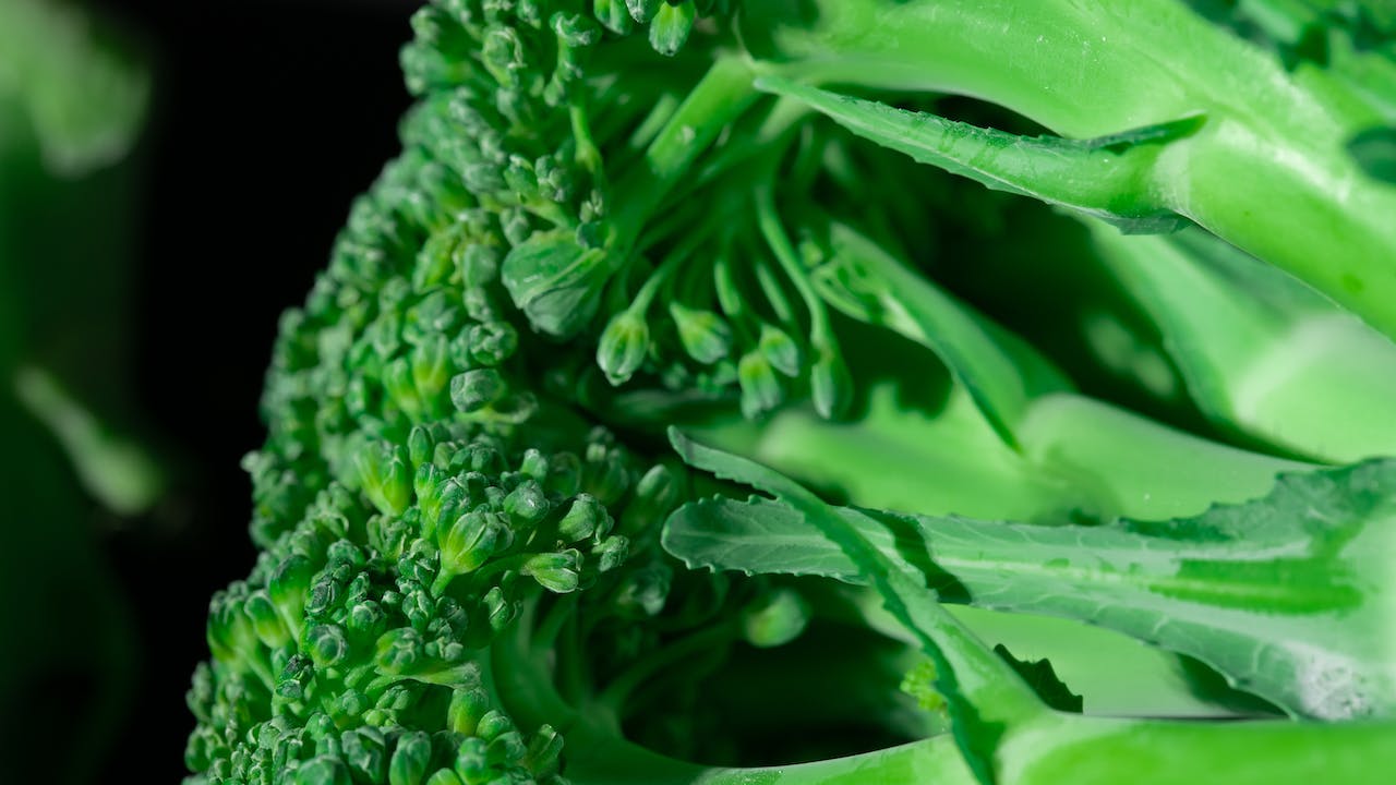 Kale for Weight Loss: Science-Backed Strategies