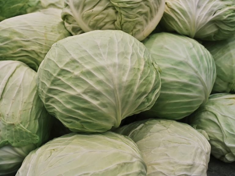 Cabbage for Detoxification and Weight Loss