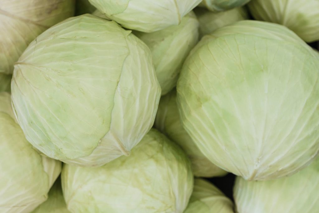 Cabbage and Low-Sugar Living for Weight Loss