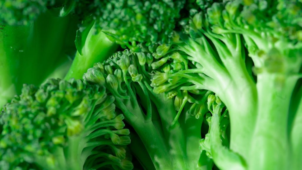 Kale: The Green Machine for Shedding Stubborn Fat