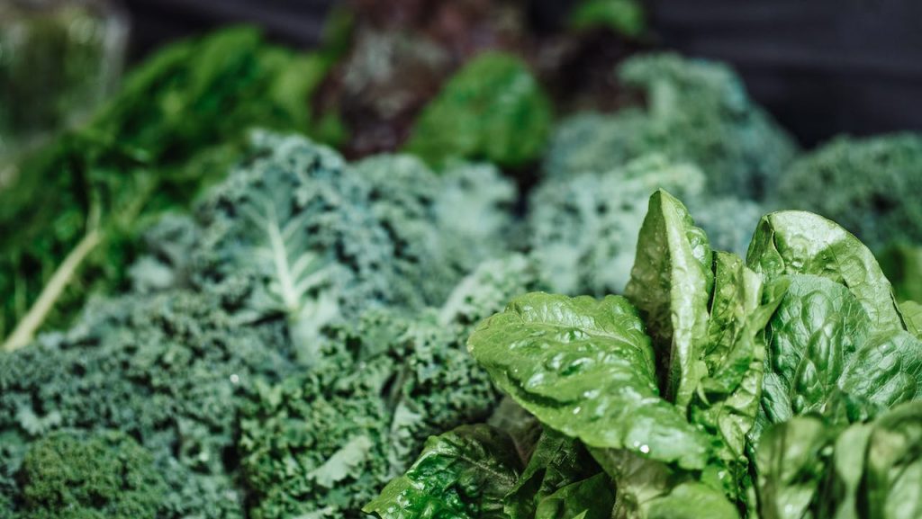 Broccoli and Curbing Cravings: A Weight Loss Strategy