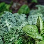 Broccoli and Curbing Cravings: A Weight Loss Strategy