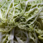 Cabbage and Green Tea: A Weight Loss Powerhouse Combo